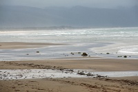  Netarts Bay