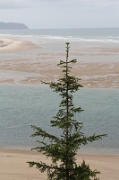  Netarts Bay