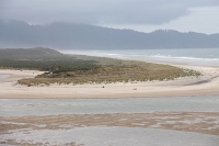  Netarts Bay