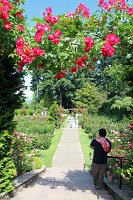  International Rose Test Garden