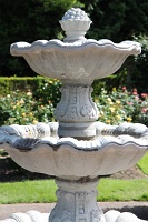  International Rose Test Garden
