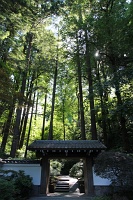  Japanese Garden