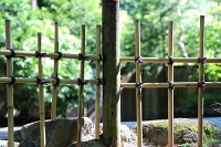  Japanese Garden