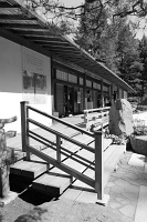  Japanese Garden