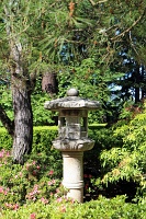  Japanese Garden