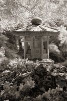  Japanese Garden