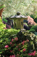  Japanese Garden