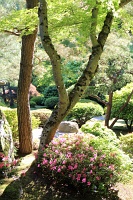  Japanese Garden