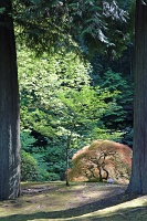  Japanese Garden