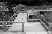  Japanese Garden