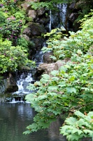  Japanese Garden