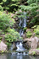  Japanese Garden