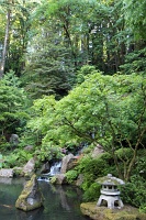  Japanese Garden