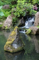  Japanese Garden