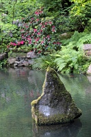  Japanese Garden