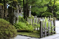  Japanese Garden