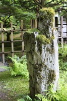  Japanese Garden
