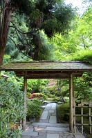  Japanese Garden