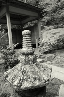  Japanese Garden