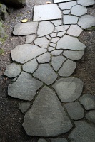  Japanese Garden