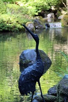  Japanese Garden