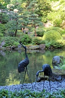  Japanese Garden