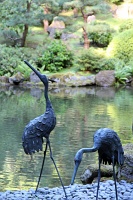  Japanese Garden