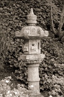  Japanese Garden
