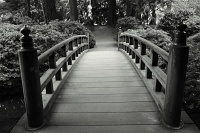  Japanese Garden