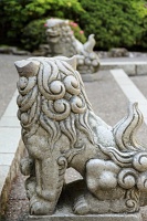  Japanese Garden