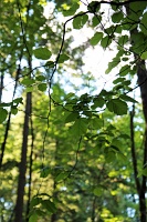  Washington Park