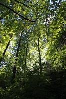  Washington Park