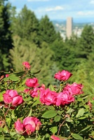  Washington Park