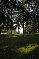  Mt Tabor Park