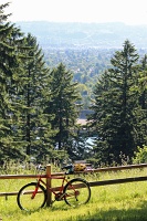  Mt Tabor Park