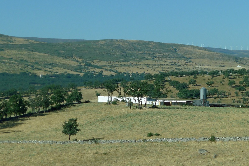 P1190024