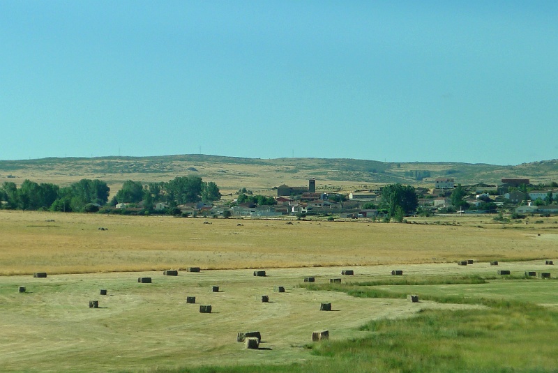 P1190063
