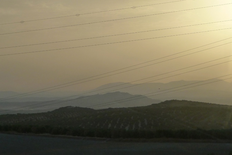 P1190788