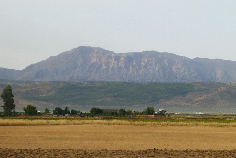 P1190846