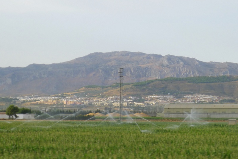 P1190859