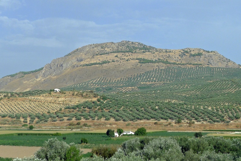 P1190914