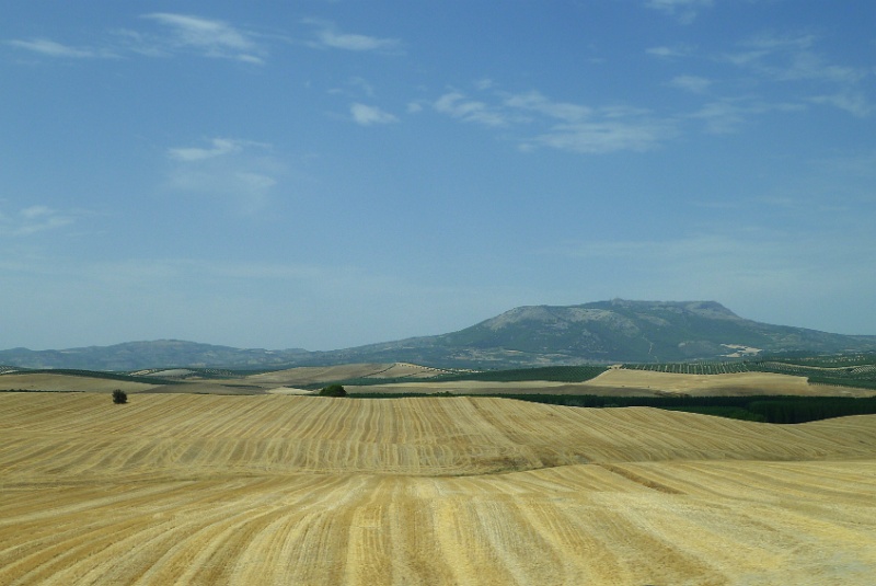 P1190930