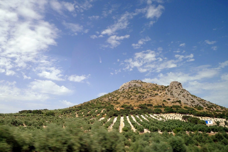 P1190969