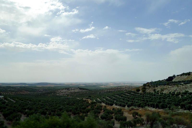 P1190983