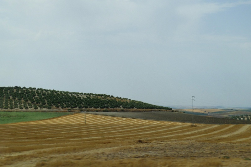 P1190997