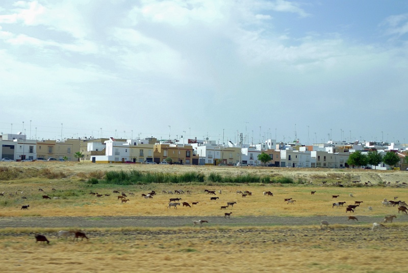 P1200020