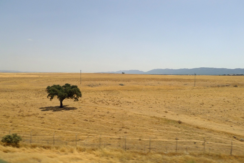 P1200245