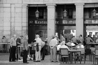  Venados - Plaza Mayor, Madrid