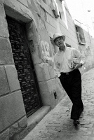  El paseo - Segovia