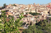  Toledo